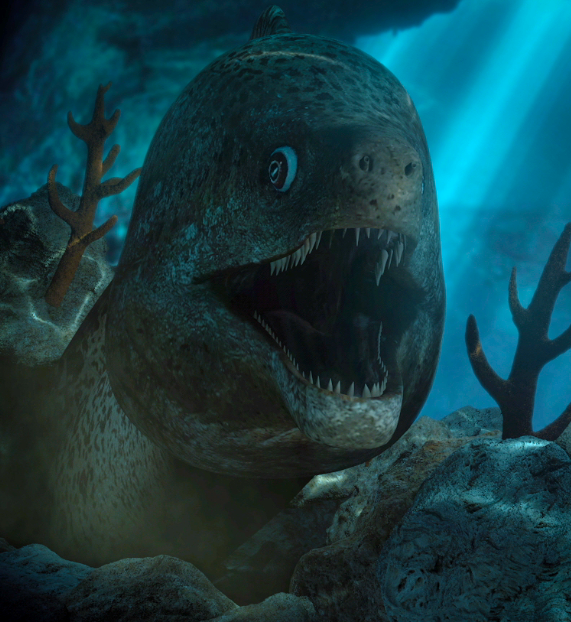 The Moray Eel Attack!